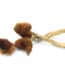 Dried psilocybin mushrooms on a white background, used for psychedelic experiences and mental health research. Premium quality Magic Mushrooms available online in Canada.