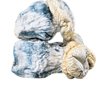 Smurfs Magic Mushrooms