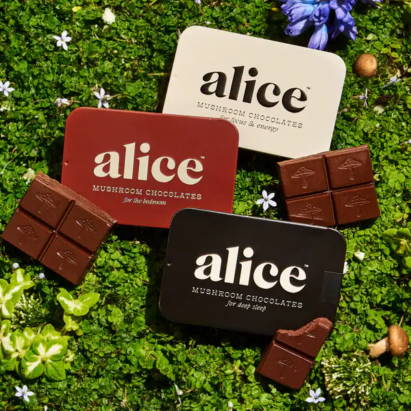 Rich, velvety mushroom chocolates from Alice in three flavors—energy, bedroom, and deep sleep—placed on vibrant green clover with delicate flowers, perfect for enhancing mood and relaxation.
