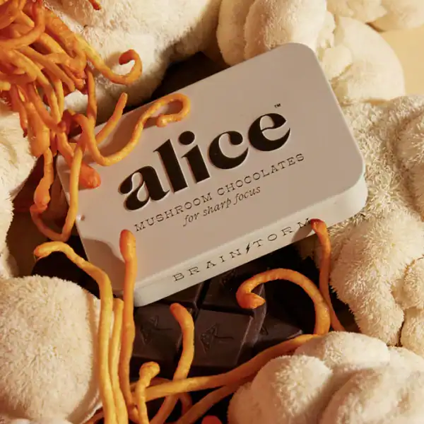Alice mushroom chocolate bar with mushrooms and plush toys, gourmet edible fungi for enhanced mental focus, gourmet mushroom chocolates for mental clarity, high-quality edible mushroom chocolate toy, relevance: highly relevant.